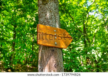 An empty wooden arrow-shaped sign pointing to the right, bolted to a tree in the forest with green colors in the background.