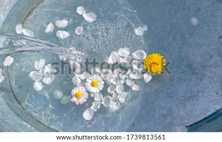 the tenderness of white flowers on the water. 
Illuminating flowers and Ultimate Gray water. color 2021