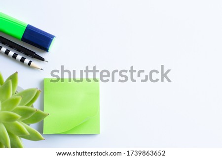 Home plant in soft focus, sticky notes, pen pencil and marker. Stationery flat lay. Back to school. White background