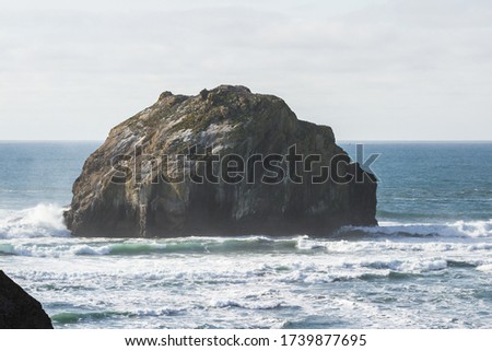Close up of a large rock that resembles the profile of a human face in Bandon Oregon Royalty-Free Stock Photo #1739877695
