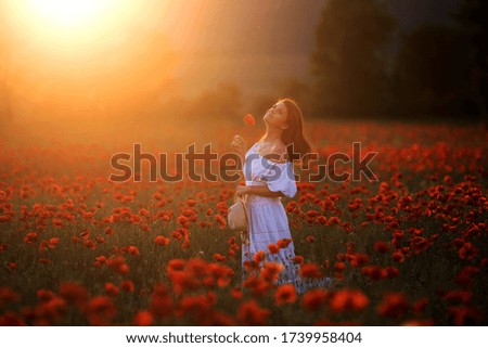 A girl in a white dress stands in a poppy field. Beautiful sunset on a summer evening.
Image with selective focus, noise effects, sun flare and toning. Focus on the girl.