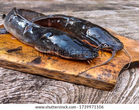 Catfish on wooden cutting board. Isolated on wood texture background. Raw and healty food ingredient. Royalty-Free Stock Photo #1739971106