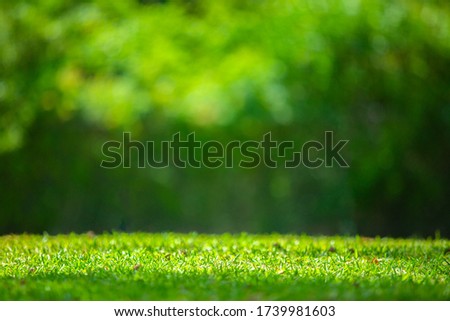 Nature green grass with blur background stock image in spring or summer