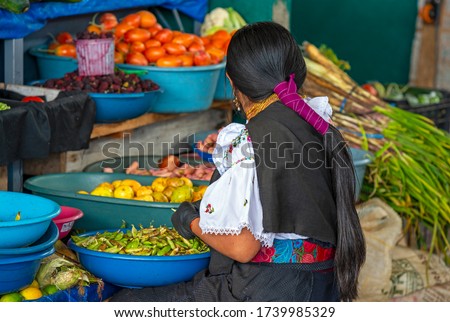 An indigenous Otavalo woman in traditional clothing peeling green beans in the local fruit and vegetable market of Otavalo, Ecuador. Royalty-Free Stock Photo #1739985329