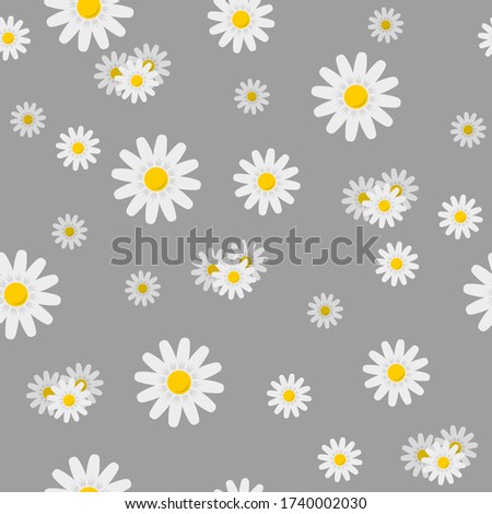 Chamomile of different sizes on a gray background. Floral seamless pattern. Vector illustration
