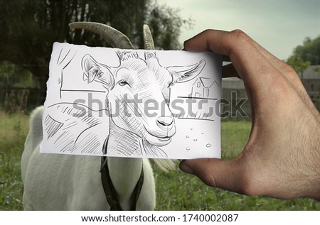 Mixed media image showing a hand-held piece of paper with a pencil drawing depicting a cute goat with field in the photo background