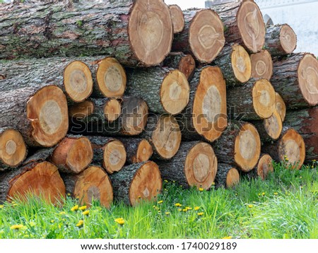 picture with stack of sawn logs, wood pile reserve for the winter. Pile of chopped firewood. Background texture wood.