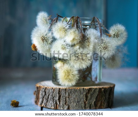 Bouquet of fluffy dandelions in a tin can on a wooden cut on a table rustic kitchen
