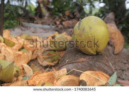 a picture of a coconut with a backdrop of coconut skin