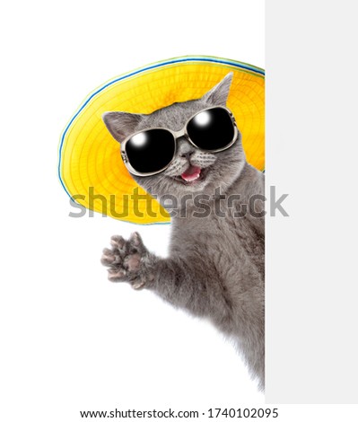 Happy cat wearing sunglasses and summer hat looks from behind empty board and waving his paw. isolated on white background Royalty-Free Stock Photo #1740102095