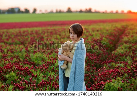 Beautiful children, brothers in gorgeous crimson clover field on sunset, springtime