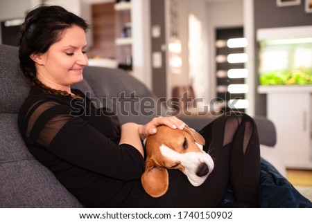Young woman sitting on sofa and pet her beagle dog in bright room.. Pets care and love concept.