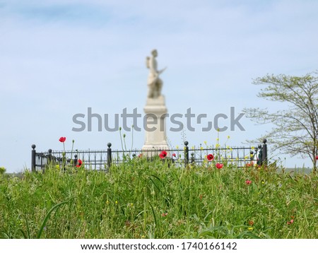 Flowering wild growing field poppies on a blurred background of monument to fallen soldiers
