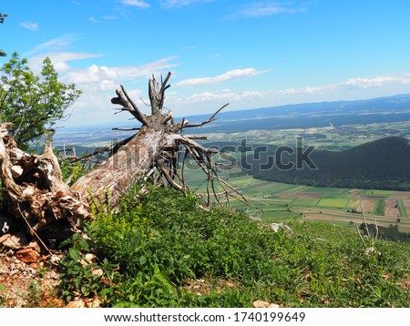 Hohe Wand Natural Reserve, Lower Austria