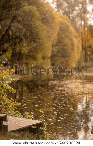 Golden autumn in the park. Trees grow around the pond. Image with selective focus and toning.