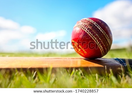 Cricket ball resting on a cricket bat on green grass of cricket pitch