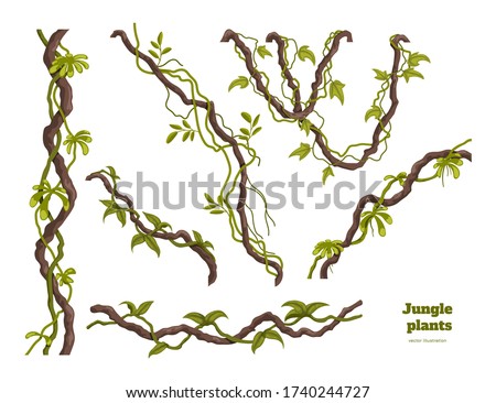 Isolated jungle plants set. Design elements. Liana branch. Tropical forest trees in cartoon style. Rainforest bush on white background. Vector illustration Royalty-Free Stock Photo #1740244727