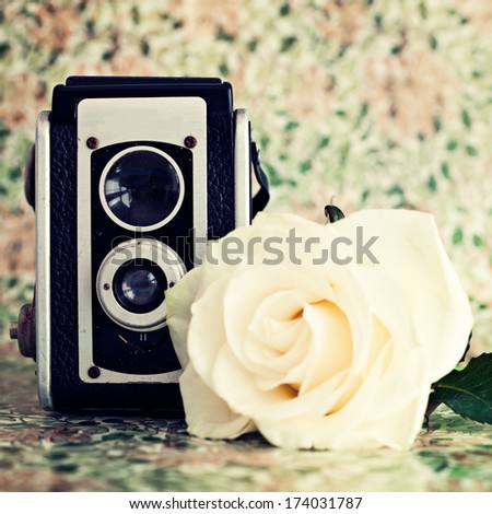 Vintage camera and rose 