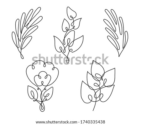 Leaf line art. Abstract plant illustration on white background.