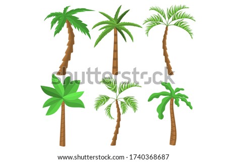 Tropical palm trees collection. Exotic palm trees concept for summer banners. Flat style