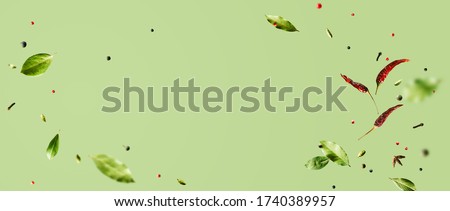 Creative mockup with flying various types of spices Bay leaf, red chili pepper, anise on green background with copy space. Long food banner with copy space. Royalty-Free Stock Photo #1740389957
