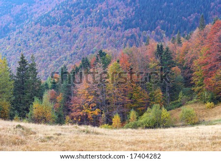 Autumn mountain valley and forest view. Three shots composite picture.