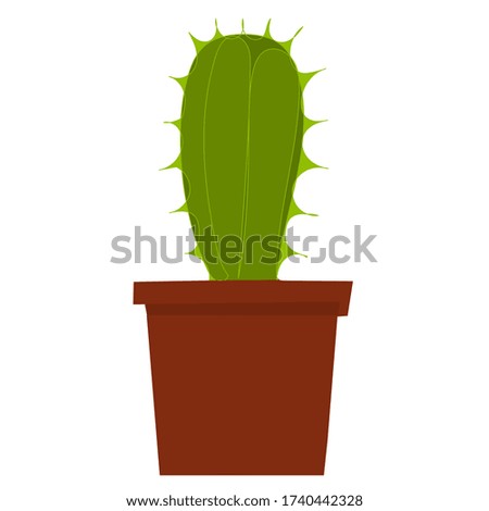  isolated, green cactus in a pot, flat style