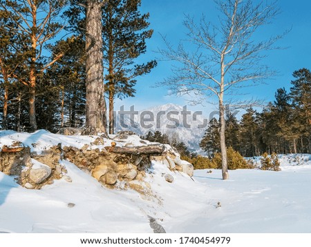 colorful view of the snow-white mountain around the forest, winter background.