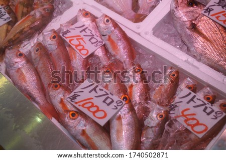 Rosy seabass in the fish market