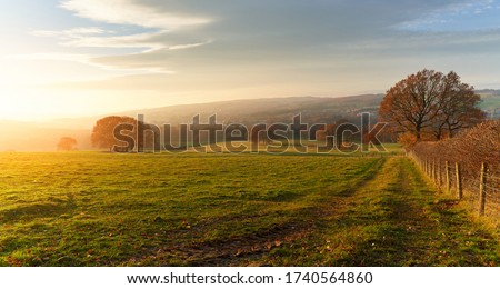 Sunset over farmland, meadows and trees in autumn with golden brown leaves on the trees in England, UK. Royalty-Free Stock Photo #1740564860