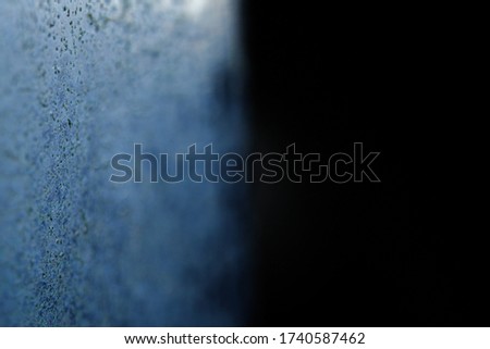 Abstract macro photography – Close up moss on the window panel