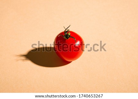 Single cherry tomato vegetable, fresh ripe food on minimal cream colored background, angle view