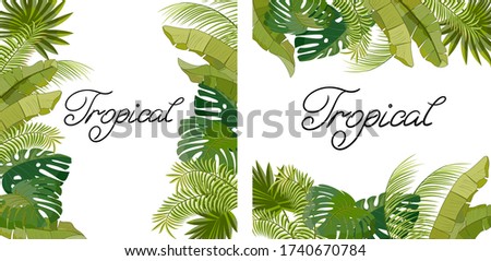 Set of illustrations with tropical leaves.Floral illustration with tropical leaves on a white background.