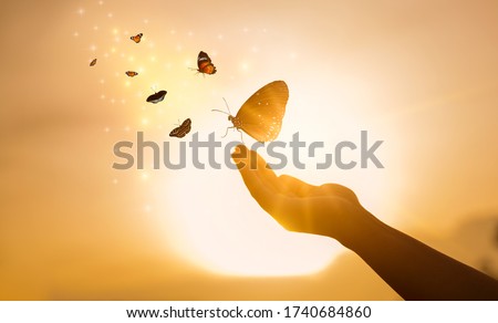 The girl frees the butterfly from  moment Concept of freedom Royalty-Free Stock Photo #1740684860