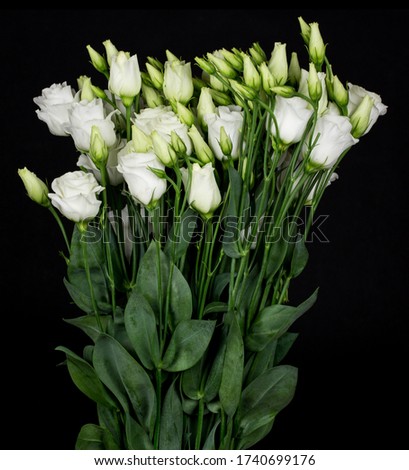 Beautiful bouquet of white lisianthus flowers on a black background