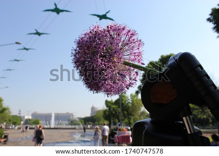 Flower on steadicam in Park Gor'kogo Royalty-Free Stock Photo #1740747578