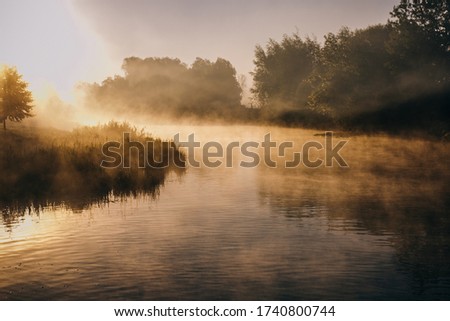 Fantastic foggy river with fresh green grass in the sunlight. Sun beams through tree. Dramatic colorful scenery. Calm river in autumn at the sunrise Royalty-Free Stock Photo #1740800744