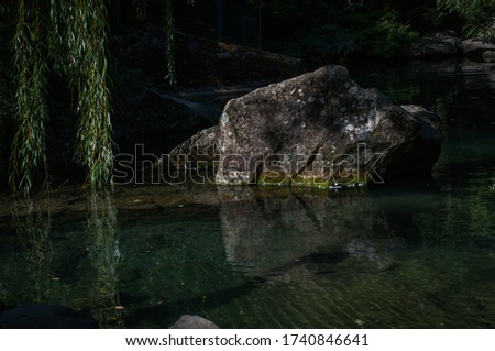 old pond with emerald water and stone