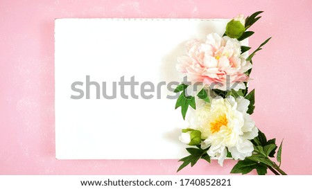 Pink and white peony flowers decorated border on pink textured background with negative copy space. Modern stylish flat lay, top view minimalism creative layout.