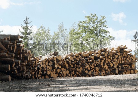 A beautiful shot of an open-air wood logs stock