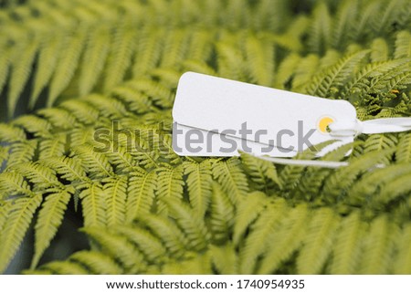 Lay flat of empty label on the pal leaf