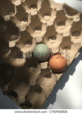 Eggs isolated on brown background