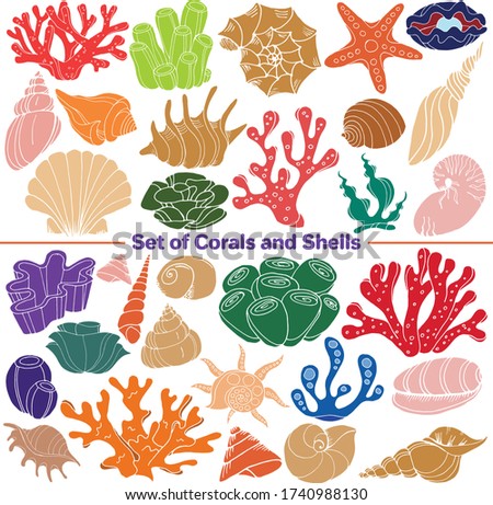 Vector set of images. Vector decorative sketch, illustration. Seashells and Corals