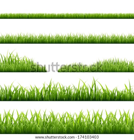 6 Grass Borders, Vector Illustration