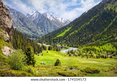 Mountain valley with green trees and river in Dzungarian Alatau, Kazakhstan, Central Asia Royalty-Free Stock Photo #174104573