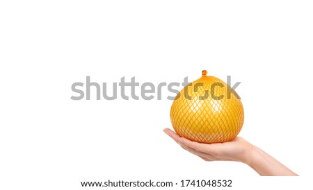 Hand with fresh and juicy pomelo fruit. Isolated on white background. Copy space, template.