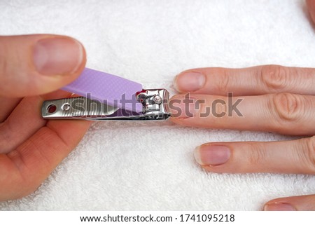 Woman Clipping Nail s with Forceps. Female cuts his nails on a white background with tweezers for nails. manicure procedures yourself at home