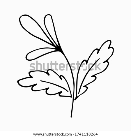  Simple flower in scandinavian style. Hand drawn doodle outline black clip art for icons or logo and cards.  Design for stickers and coloring. Stock vector illustration isolated on white background.