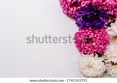 Selective focus. Flowers composition. Violet and purple flowers on white background. Valentines day, mothers day, womens day, spring, summer concept. Flat lay, top view, copy space.