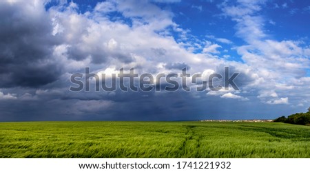 Green Wheat Or Barley Field With Storming Sky